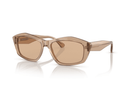 0EA4187-Emporio Armani / Shiny Transparent Brown/Light Brown(506973) / 55-16-140