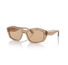 0EA4187-Emporio Armani / Shiny Transparent Brown/Light Brown(506973) / 55-16-140