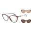 0EA4213U-Emporio Armani / Shiny Tundra/Shiny Rose Gold(51461W) / 53-17-140