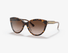 0MK2158-Michael Kors Maken / Dark Tortoise/Gradient Brown(310213) / 55-18-140