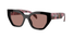0PRA09S-Prada Mahogany / Mahogany/Light Brown(12010D) / 53-18-145
