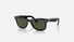 0RB2140 Ray-Ban® / Black/Green(135831) / 50-22-150