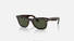 0RB2140 Ray-Ban® / Havana Green(135931) / 50-22-150