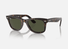 0RB2140 Ray-Ban® / Tortoise Green(902) / 54-18-150