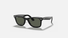 0RB2140 Ray-Ban® / Polished Black/Green(901/58) / 50-22-150
