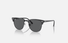 0RB3016-Ray-Ban® / Black/Dark Gray(1367B1) / 55-21-150