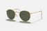 0RB3447 Ray-Ban® / Legend Gold/G-15 Green(919631) / 53-21-145