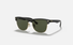 0RB4175 Ray-Ban® / Black on gold/Green(877) / 57-16-145