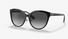 BE4365F Burberry® / Black on Print TB/Crystal Grey Gradient(3977/8G) / 57-17-140