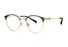 BH7029 / BLACK/GOLD(B20) / 50-19-148