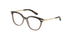 DG3346 Dolce & Gabbana® / Havana/Transparent Brown(3256) / 50-18-140