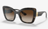 DG6170 Dolce & Gabbana® / Dark Havana/Brown Gradient(330613) / 53-22-145