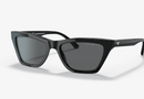EA4169 Emporio Armani / BLACK/Grey(587587) / 54-17-140