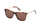 FT1104-Tomford Sinatra / Dark Havana/Brown(52E) / 53-18-140