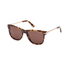 FT1104-Tomford Sinatra / Dark Havana/Brown(52E) / 53-18-140