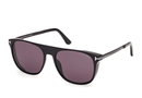 FT1105-Tomford Lionel-02 / Shiny Black/Smoke(01A) / 55-17-140