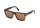 FT1205-Tomford Calder / Dark Havana/Brown(52E) / 55-17-145