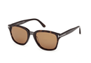 FT1213-Tomford Graydon / Dark Tortoise/Bronze Brown(52E) / 53-20-145