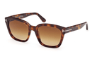 FT1216-Tomford Haylay / Dark Havana/Gradient Brown(52F) / 53-19-140
