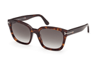 FT1216-Tomford Haylay / Dark Havana/Gradient Smoke Grey(52B) / 53-19-140