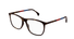 GG0554O Gucci / Havana(010) / 55-16-145