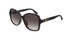GG0765SA Gucci / Havana/Grey(003) / 57-16-145