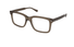 GG0914O Gucci / Beige Brown(002) / 51-19-145