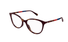 GG1359O Gucci / Havana(006) / 54-16-140