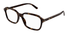 GG1446O Gucci / Havana(002) / 56-18-145