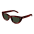 GG1521S-Gucci / Havana/Green(002) / 51-22-145