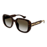GG1557SK-Gucci / Havana/Crystal(002) / 54-20-145