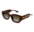 GG1558SK-Gucci / Tortoise/Brown(002) / 51-22-145