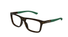 GG1737O Gucci / Havana(004) / 54-16-145