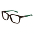 GG1738O-Gucci / Havana/Green(004) / 54-17-145