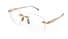 GG1806O Gucci / Rose Gold(003) / 54-17-140
