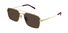 GG1957SA Gucci / Gold/Brown(002) / 58-17-145