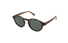 GU00049 Guess / Dark Havana/Green Polarized(52R) / 50-21-145