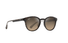 HS636-10-Maui Jim Hiehie / Shiny Dark Havana with Trans Yellow/Bronze / 50-20-145