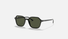 RB2194 / Black/Green(901/31) / 51-18-145