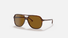 RB2198-Ray-Ban® / Havana/Brown(954/33) / 60-14-145