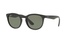 RB4252I / Black/Green(601/9A) / 51-20-140
