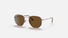 RB8148 / Gold/Brown(920757) / 54-21-145