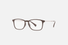 RB8953 Ray-Ban® / Polished Brown(8028) / 56-17-140