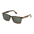 SPLP21-Police / Shiny Stripped Brown/Green(0836) / 54-20-145