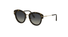 TF574 Tomford Sunglasses / Havana/Grey Gradient(52P) / 52-22-140
