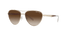 0AX2042S Armani Exchange / Shiny Pale Gold/ Gradient Brown (611013) / 57-15-140