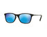 RJ9061S Ray-Ban® / Black/Green (7005/55) / 49-15-130