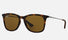 RJ9061S Ray-Ban® / Havana/Brown (7006/73) / 49-15-130