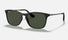 RJ9061S Ray-Ban® / Black/Green (7005/71) / 49-15-130