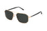 SFI300V Fila® / Gold/Green Gradient Polarized(300P) / 58-16-140